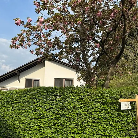 Zum Wilzenberg *